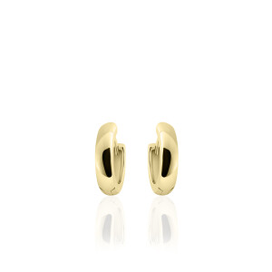 Helfrich Jewels 585 Gold Ohrringe VGKCA3/13.5
