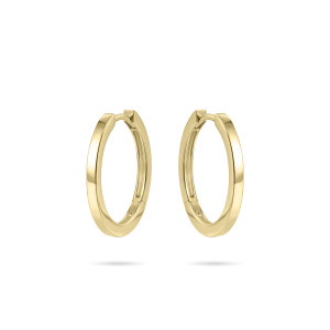 Helfrich Jewels 585 Gold Ohrringe VGKCG2/20